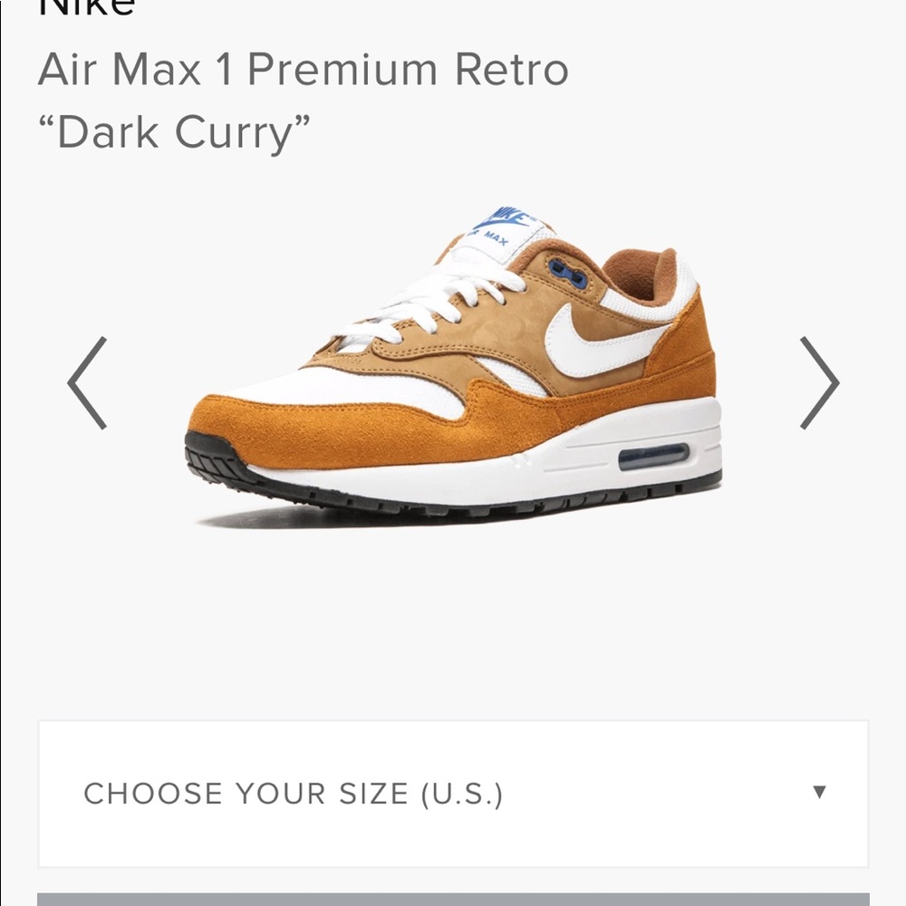 Air Max 1 Premium Dark Curry Size 12